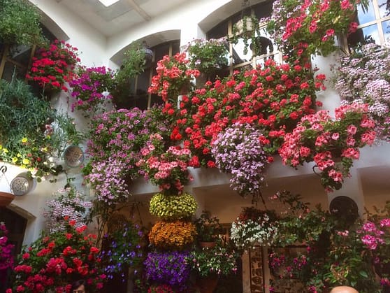 13177825_10154243021162491_142553975005062867_n