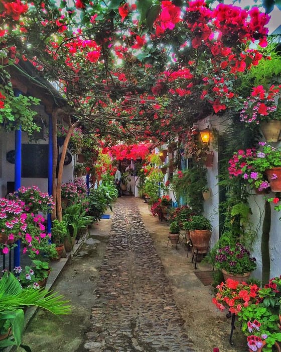 13173654_10154243023032491_7135947073373253040_n